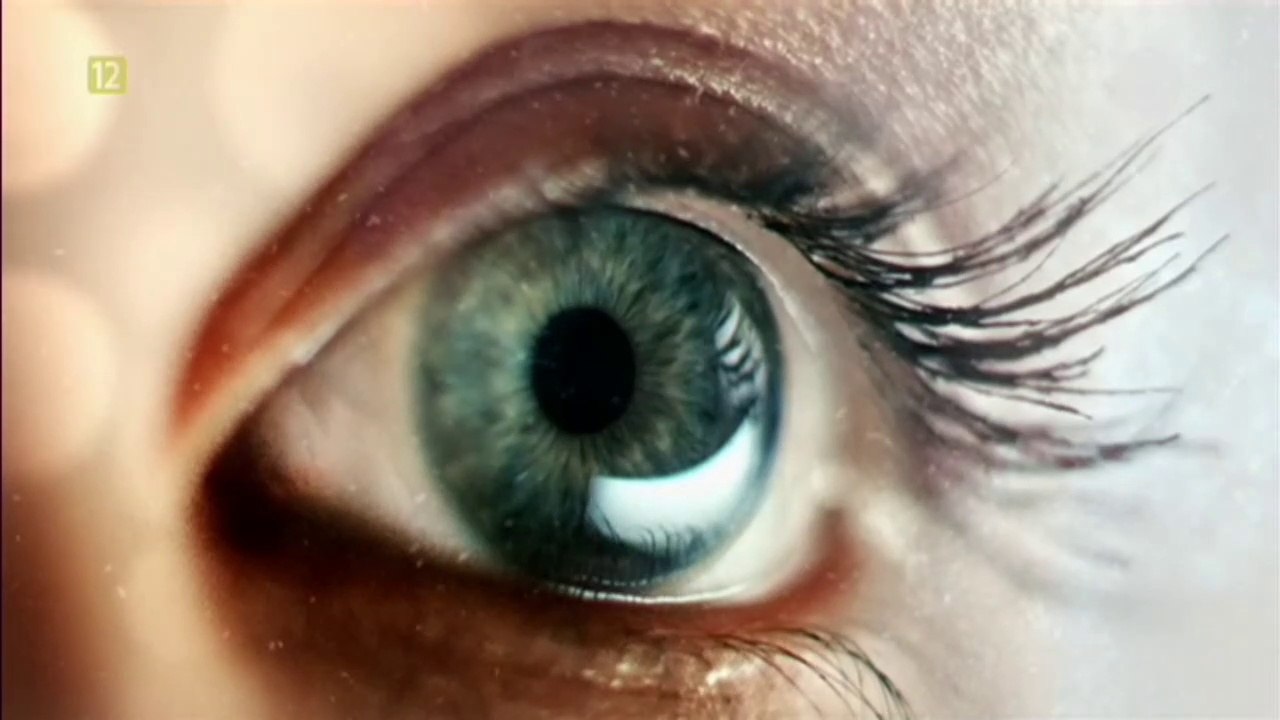 36.6 - czołówka i tyłówka