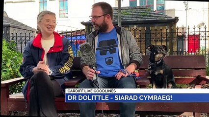 GOODLINES: 17th October 2019