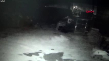 Fabrikadaki hırsızlık güvenlik kameralarına yansıdı