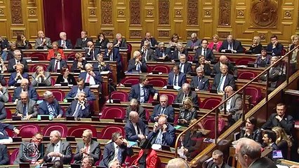 QAG - Florence LASSARADE : "La réforme des retraites inquiète les femmes mères de famille."