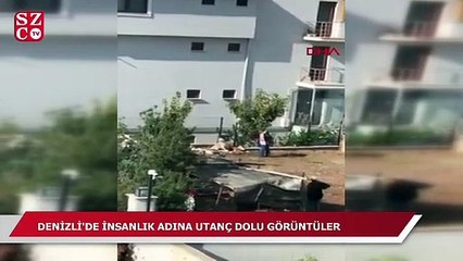 Köpeğin sopayla dövülme anı kamerada!