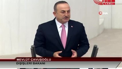 Dışişleri Bakanı Mevlüt Çavuşoğlu: "YPG-PKK, elinde tuttuğu DEAŞ'lılara Türkiye'de terör eylemi...