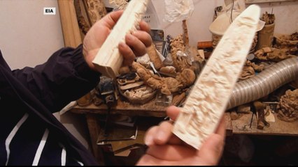 UK antique dealers challenge new law against ivory artefacts