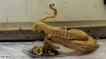 Une réaction chimique bluffante crée une sorte de serpent monstrueux