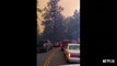 Fire In Paradise Trailer - harrowing stories from the 2018 Camp Fire, which destroyed the town of Paradise and became the deadliest wildfire in California history