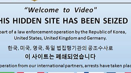 32개국 공조 수사...'다크웹' 아동 음란물 내려받은 310명 검거 / YTN