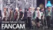 [예능연구소 직캠] Stray Kids - Side Effects, 스트레이 키즈 - 부작용 @Show! Music Core 20190622