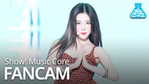 [예능연구소 직캠] Red Velvet - Zimzalabim (IRENE), 레드벨벳 - 짐살라빔 (아이린) @Show! Music Core 20190622