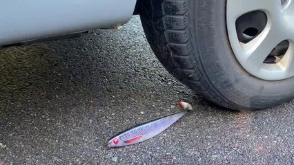 Crushing Crunchy   Soft Things by Car! Satisfying videos