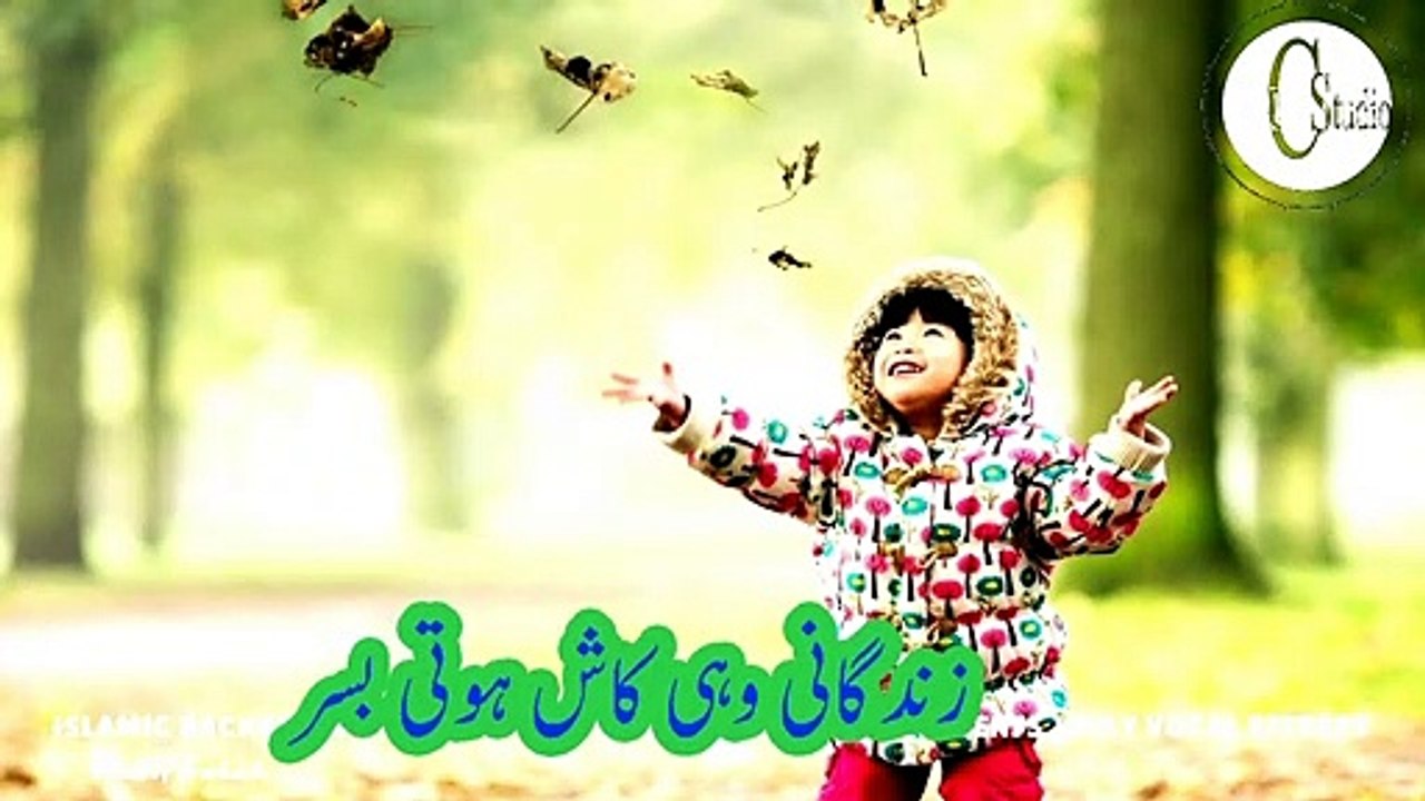 naat whatsapp status 2019