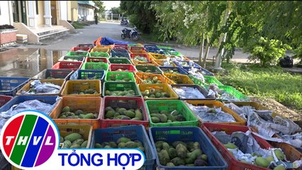 THVL | Phát hiện hơn 4 tấn xoài tươi không rõ nguồn gốc tại Đồng Tháp