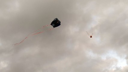 Projet Poulpe v2 : le picavet , 1er test concluant