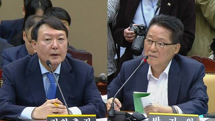 [국정감사 현장영상] 윤석열 "특수부 어디에 남길 건지에 대해서는 논의 있었다" / YTN