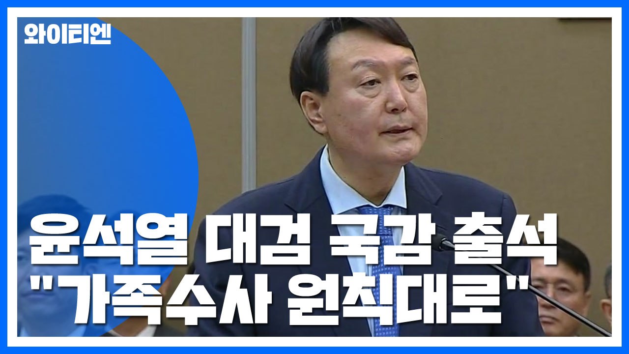윤석열 "법과 원칙에 따라 수사"...이 시각 대검찰청 국감 / YTN