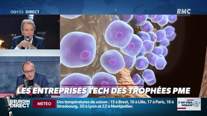 La chronique d'Anthony Morel : Les entreprises tech des Trophées PME - 17/10