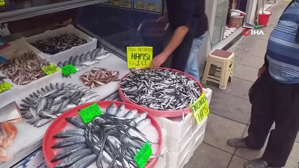 Karadeniz'de hamsi bolluğu