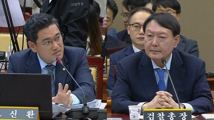 대검찰청 국정감사 (8)  / YTN