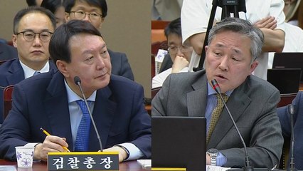 대검찰청 국정감사 (9) / YTN