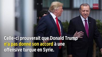 « Ne jouez pas au dur, ne faites pas l'idiot » : l'étrange lettre de Trump à Erdogan