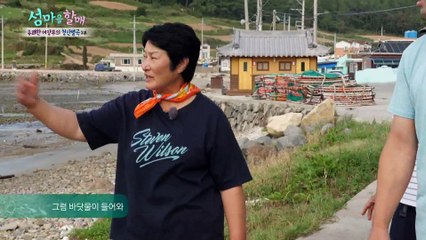 대어를 못잡아도 즐거운 청산도 독살 체험 [섬마을할매] 15회