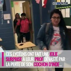 Ces élèves réconfortent leur professeur dévasté par la mort de son cochon d'inde !