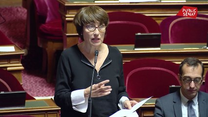 Arbnb: la sénatrice de Paris, Marie Pierre de la Gontrie dépose un amendement qui permet de limiter la location à 60 jours par an