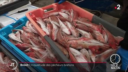 Brexit : les pêcheurs français sont inquiets