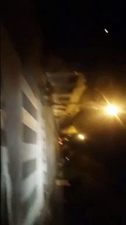 Elle filme une harde de sangliers en plein centre-ville de Privas