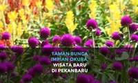 Taman Bunga Impian Okura, Wisata Baru di Pekanbaru