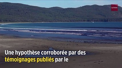 Le tigre de Tasmanie est-il de retour ?