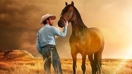 The Rider - Cinéma sur Oreiller