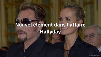 Johnny Hallyday devrait 30 millions d'euros au fisc Français