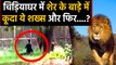 Delhi Zoo में Lion Cage में क्यों कूदा Bihar का ये शख्स ?, और फिर जो हुआ... | वनइंडिया हिंदी