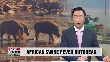 S. Korea confirms African swine fever in two more wild boars