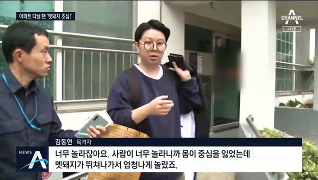 또 출몰한 멧돼지 7마리…포획하다 허벅지 물린 경찰