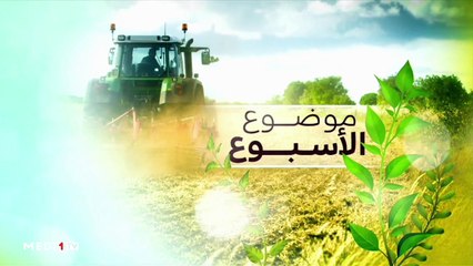 يوميات الفلاح - 17/10/2019