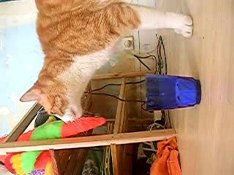 DSCN3074