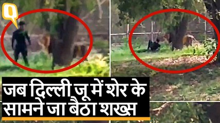 Delhi Zoo में शेर के सामने जा बैठा शख्स, कर्मचारियों ने बचाया | Quint Hindi