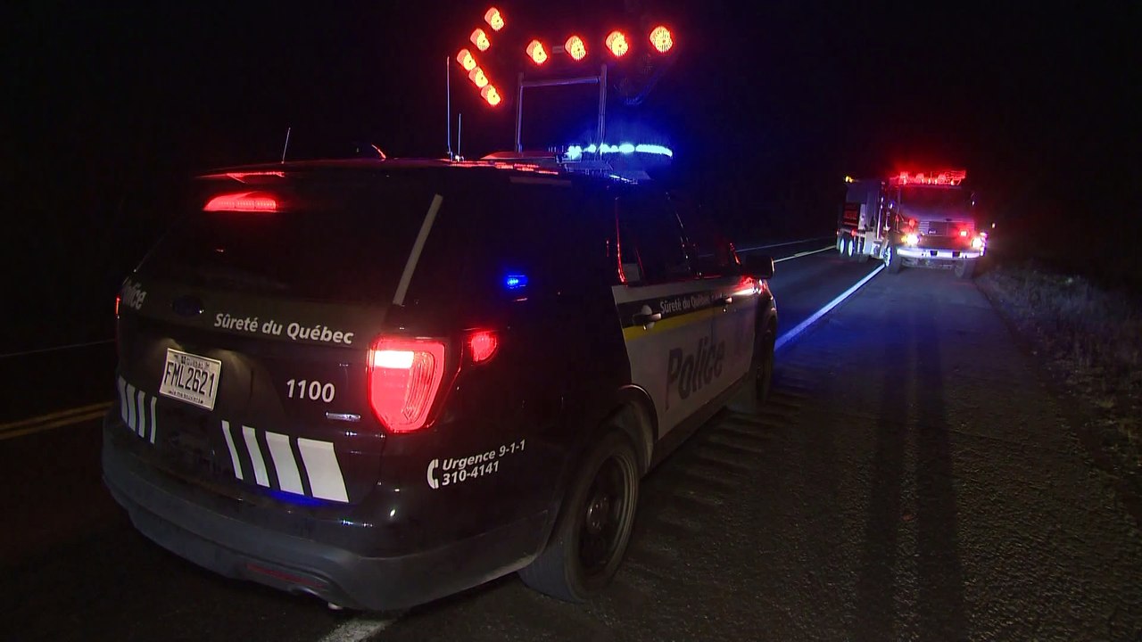 Plusieurs collisions avec des chevreuils sur nos routes