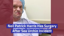 Neil Patrick Harris Recovering After Sea Urchin Infection