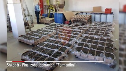 Report TV -Anti-informaliteti bllokon punishten e turshive dhe salcave në Shkodër, në kërkim pronari