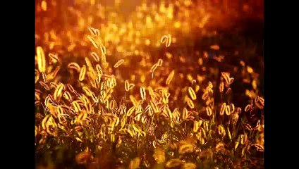 Kryon 2019 why its Broken