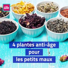 4 plantes #antiâge pour les petits maux