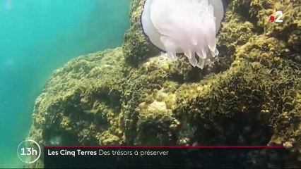 Feuilleton : les Cinque Terre, perles d'Italie (4/5)