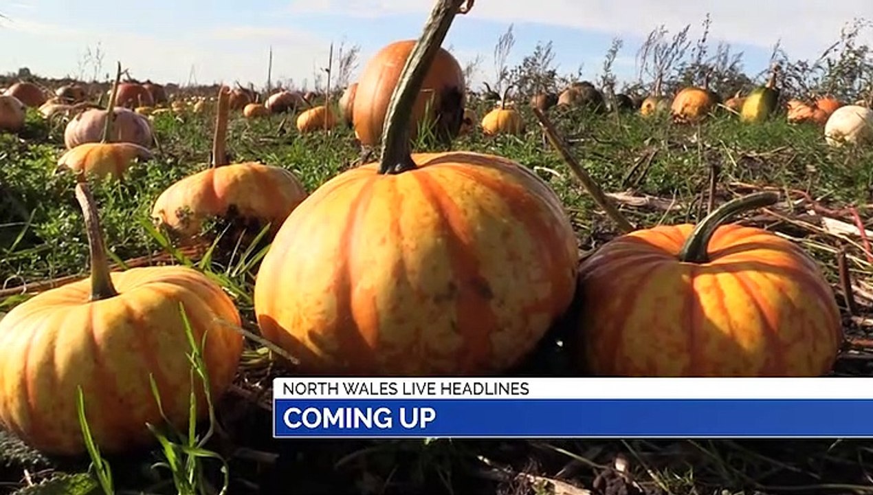 NEWS: 18th October 2019