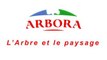 ARBORA à Joué-lès-Tours, élagage, coupes d'arbres, travaux paysagers.