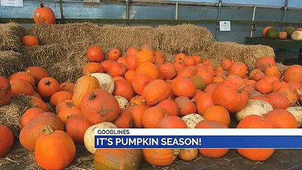 GOODLINES: 18th October 2019