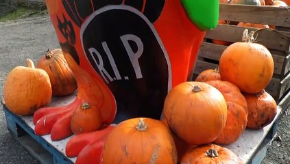 GOODLINES: 18th October 2019