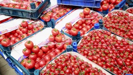 Başkentliler en çok domates tüketiyor