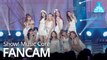 [예능연구소 직캠] WJSN - Boogie Up, 우주소녀 - Boogie Up @Show! Music Core 20190615